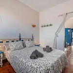 Pura Vida - Ventanas De Lanzarote *